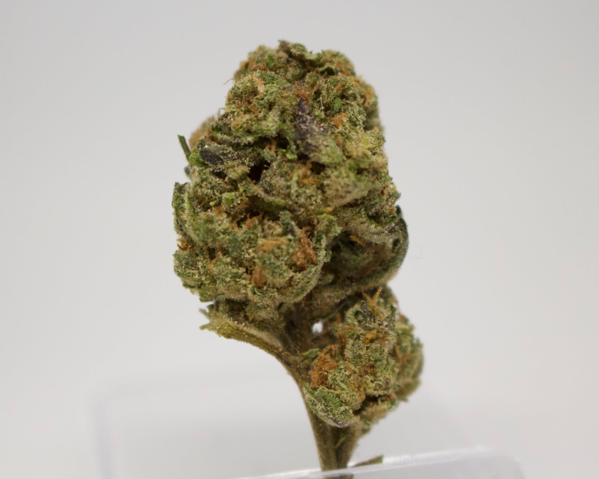 Hemp Flower | High THC-A | Runtz