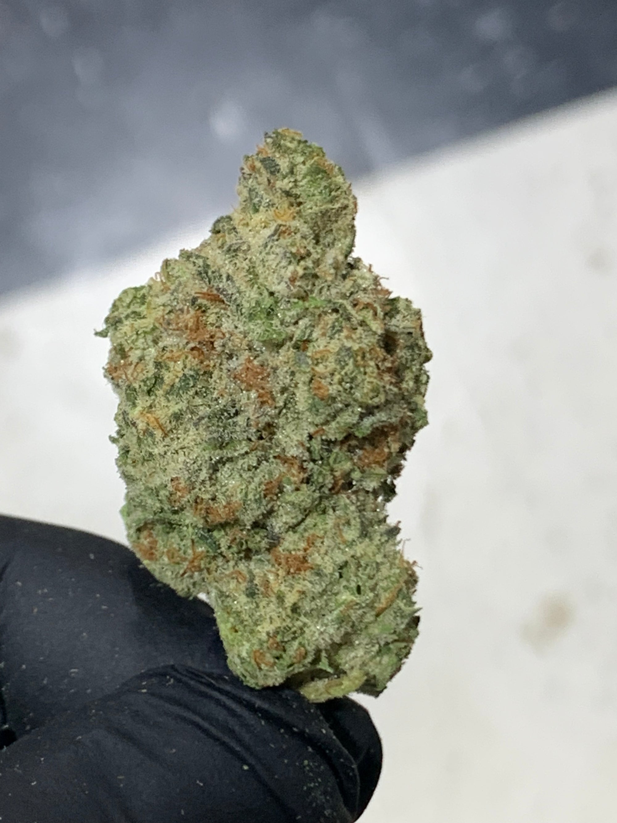 Hemp Flower | High THC-A | White Cookie