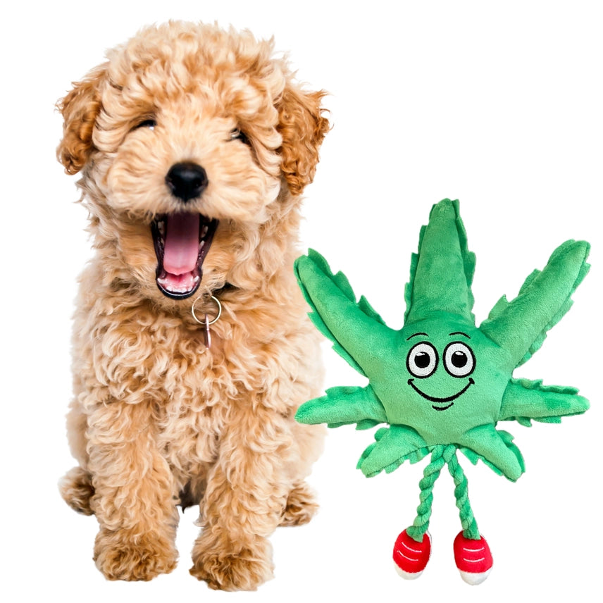 Mj the Weed Leaf, Dog Toy