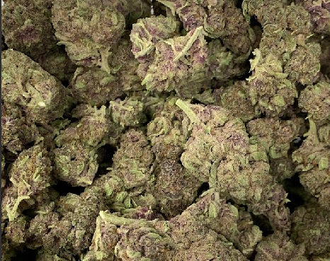 Hemp Flower | High THC-A | Queen of the South