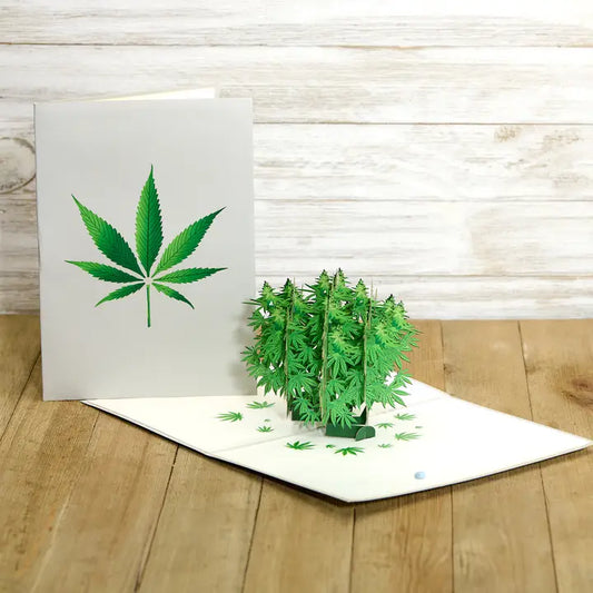 Pot Plant Funny 3D Pop-Up Marijuana Stoner Greeting Card