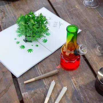 Pot Plant Funny 3D Pop-Up Marijuana Stoner Greeting Card