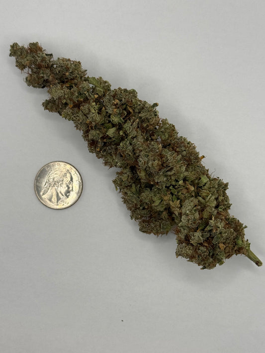 Hemp Flower | High THC-A | Han Solo Burger