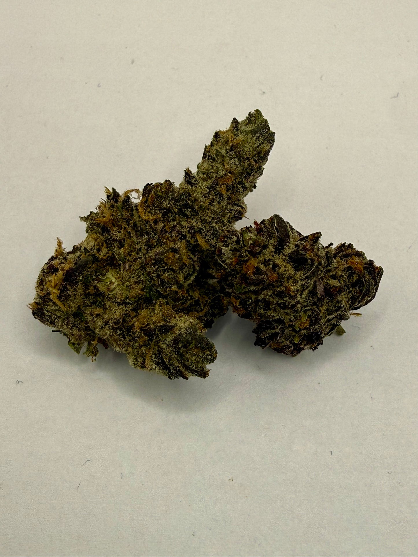 Hemp Flower | High THC-A | Motor Breath