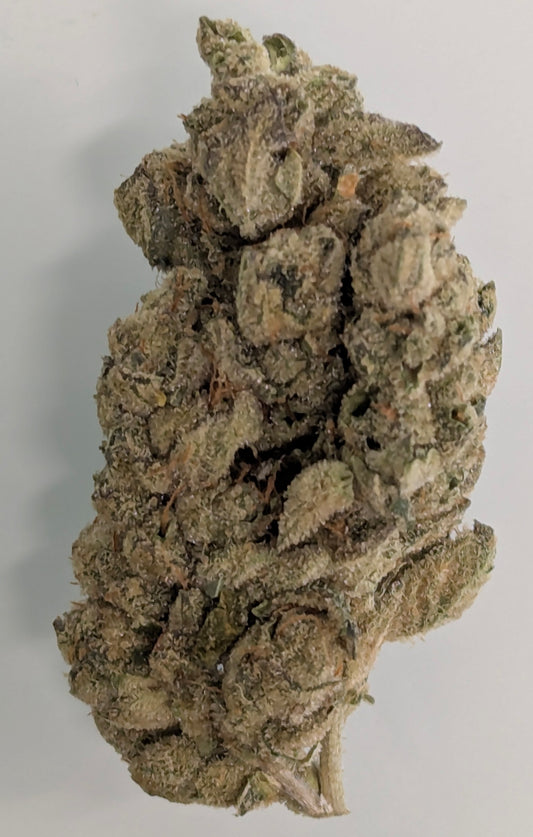 Hemp Flower | High THC-A | Hot Mint Sundae