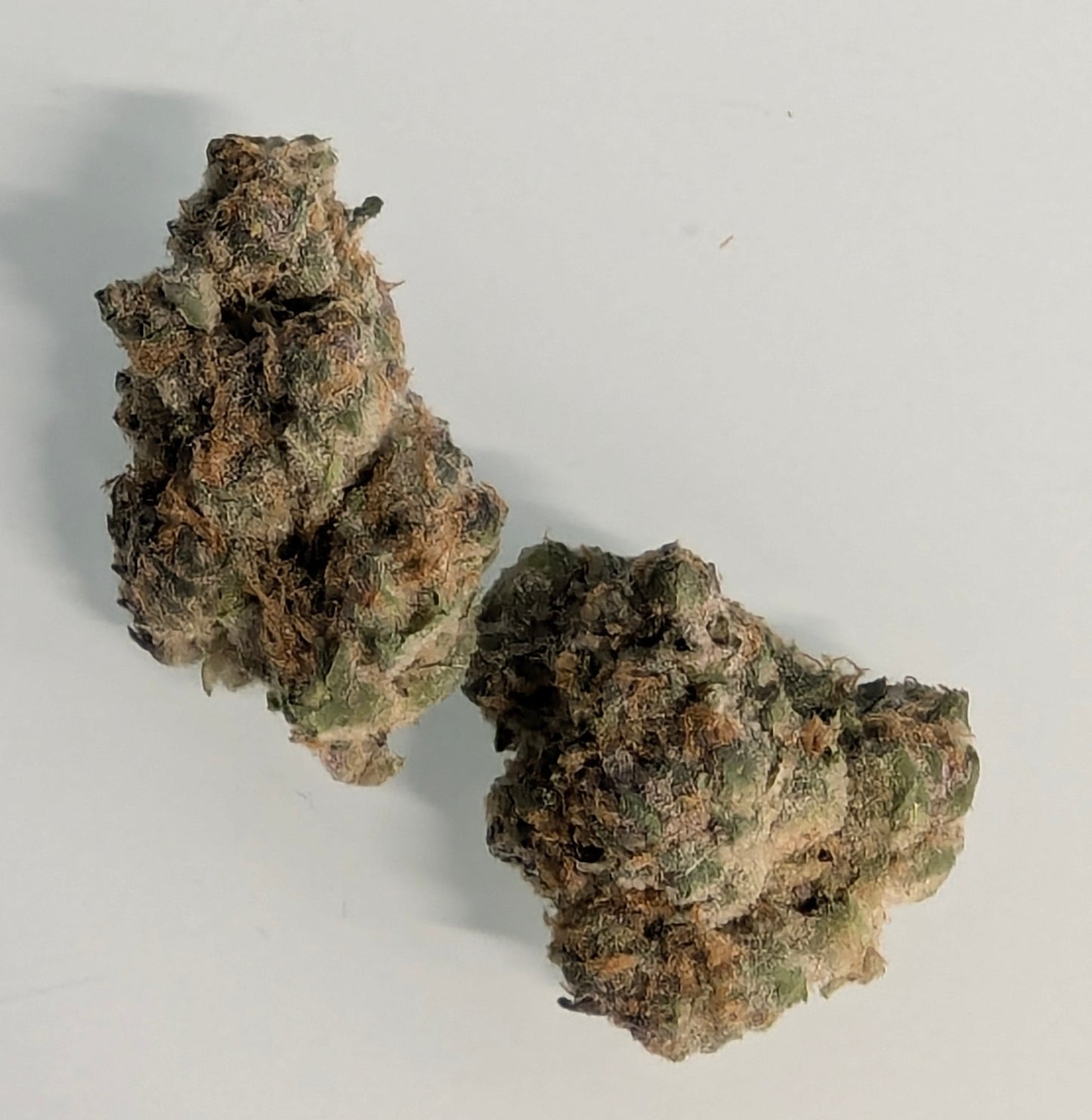 Hemp Flower | High THC-A | Candyland Kush