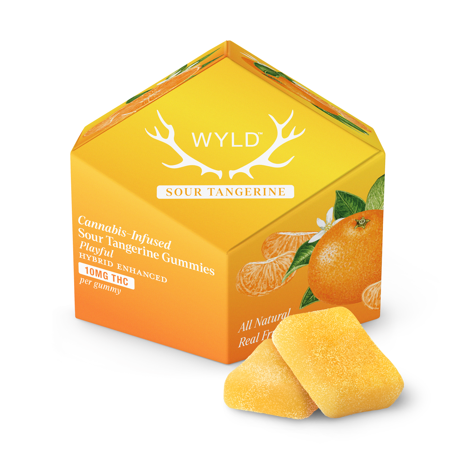 Wyld 10mg THC Gummies (10CT) | Real-Fruit Cannabis Infused Gummies